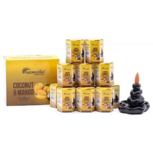 Pack of 10 Masala Backflow Incense - Coconut & Mango