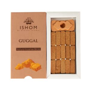 Pack of 15 Natural Incense Smudge Bricks and Burner - Guggal