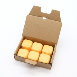 Set of 6 Aromatherapy Shower Steamers - Revitalise