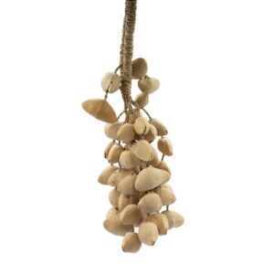 Kenari Shell Long Rattle (50 Shells)