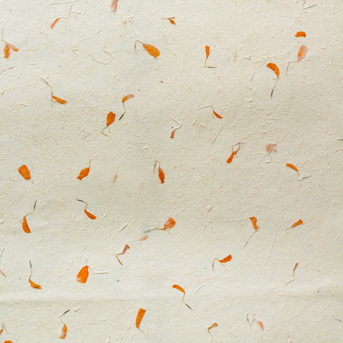 Lokta Craft & Wrapping Paper 51x76cm - Marigold