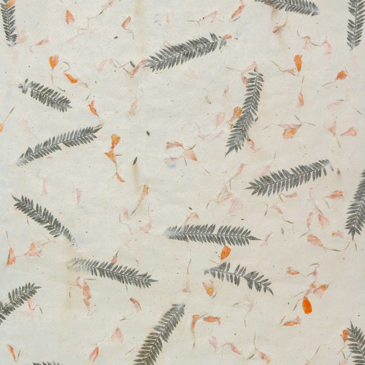 Lokta Craft & Wrapping Paper 51x76cm – Grass