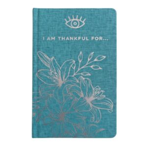 Blue Gratitude Journal with Silver Lining - 120 pages - I am Thankful For