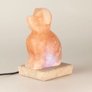USB Dog Shaped (Multi)