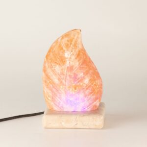 USB leaf Shaped (Multi)